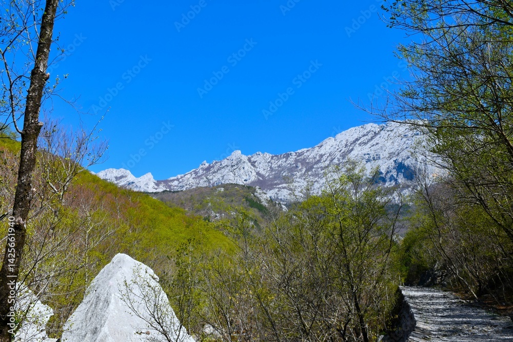Mountains above the forest in spring at Paklenica national park in Croatia