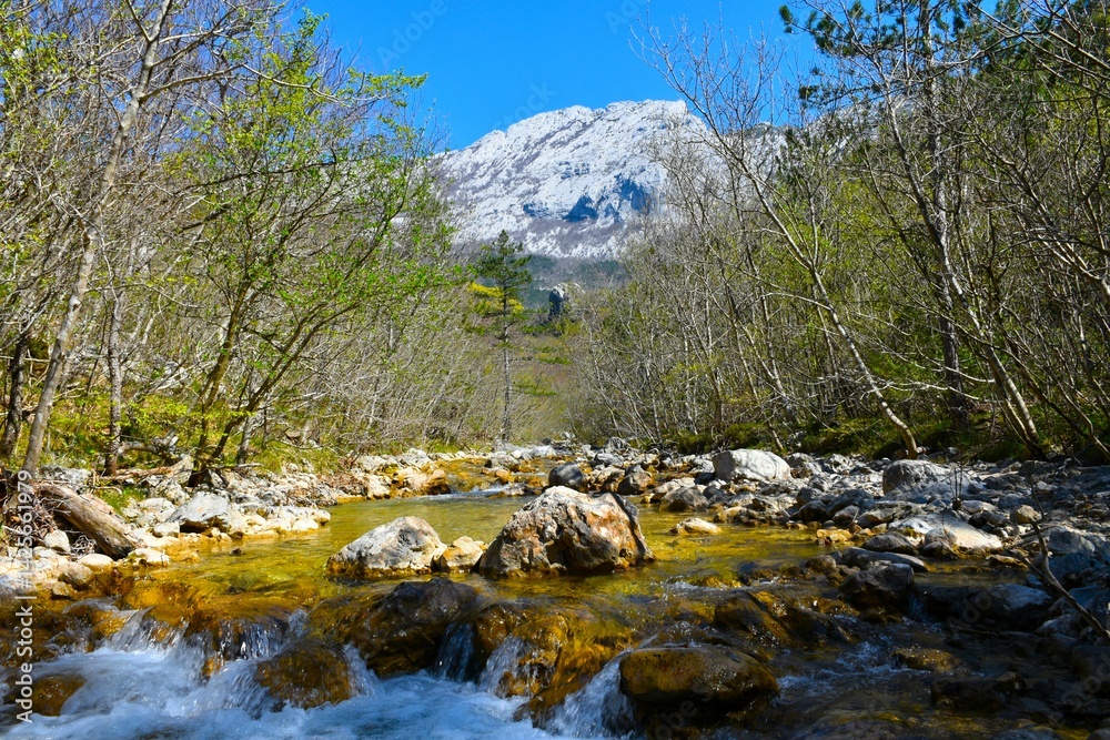 Mountain peak and a creek flowing through a forest in Paklenica national park in Croatia