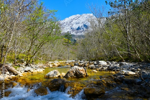 Obraz na płótnie Mountain peak and a creek flowing through a forest in Paklenica national park in Croatia w salonie