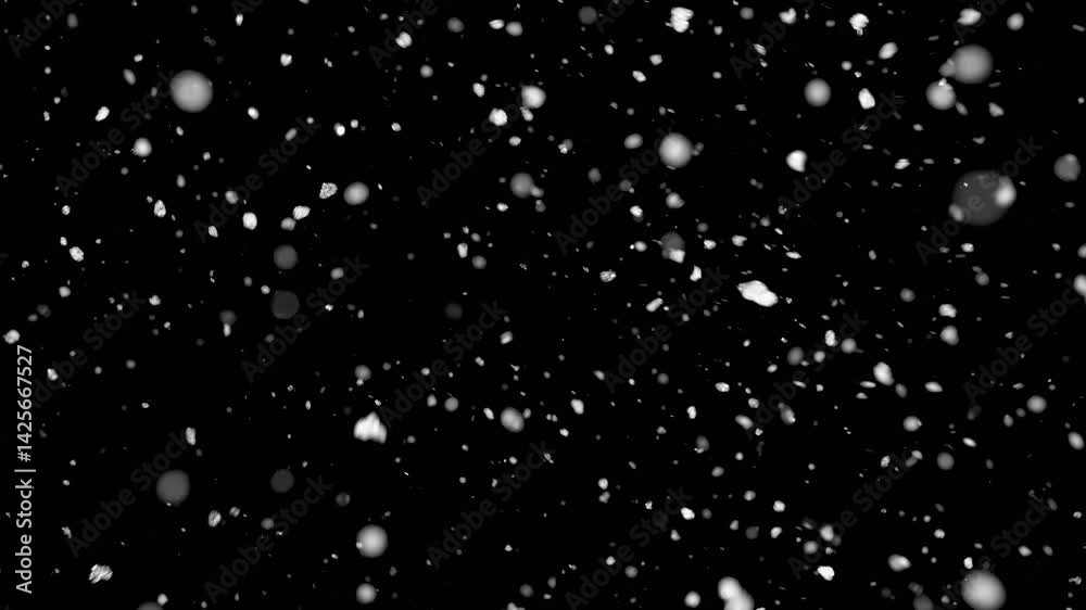 Snow flakes falling from the sky 06 Snow flakes falling from the sky 06