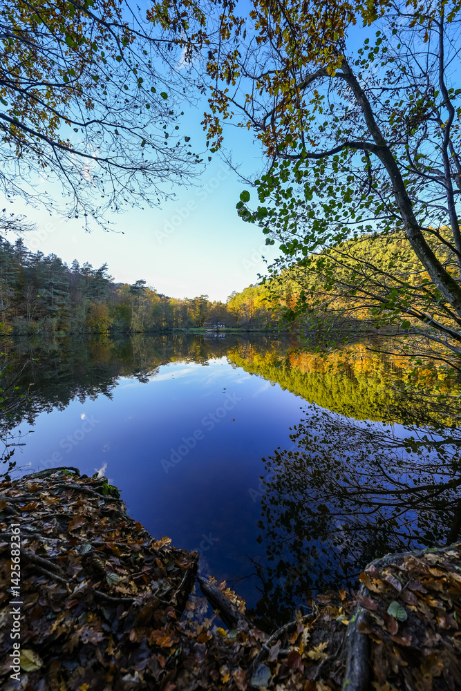 Obraz premium Landscape at the Seehofweiher pond in the Porzbach Valley. Waters along the Porzbach stream in the forest. Autumnal nature at the bathing lake. 