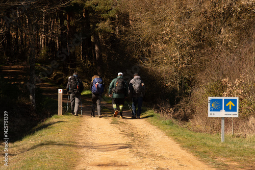 Wallpaper Mural Pilger auf dem Camino de Santiago Torontodigital.ca