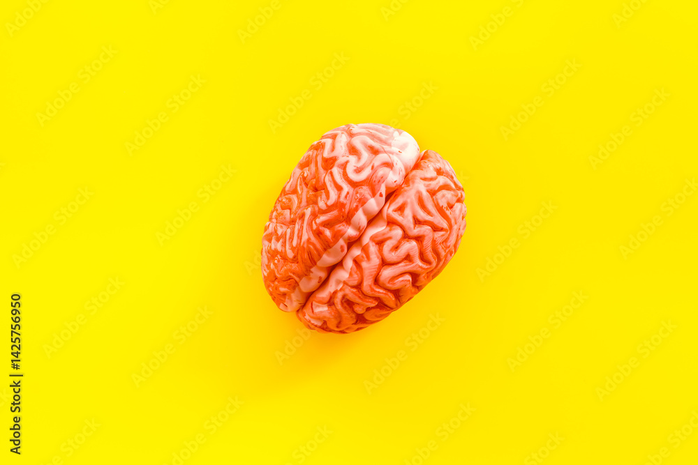 Creative brain concept. Human brain anatomical model, top view Creative brain concept. Human brain anatomical model, top view