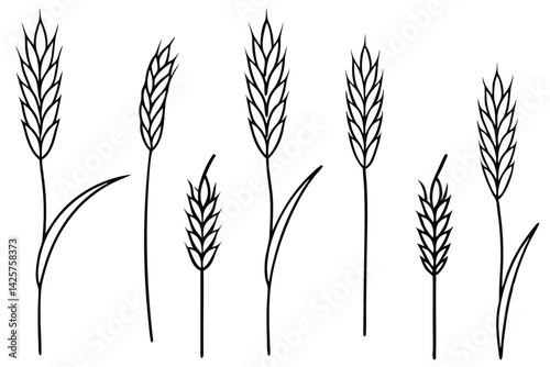 Timothy grass importance in animal diet explained line art