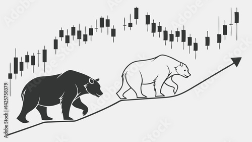 bear on a white background