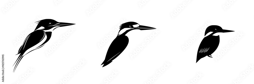 Fototapeta premium Set of three black icons depicting kingfisher birds showcasing different poses and details in a minimalist style