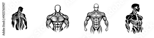 Illustration of human anatomical forms showcasing muscles and structure in a black icon style