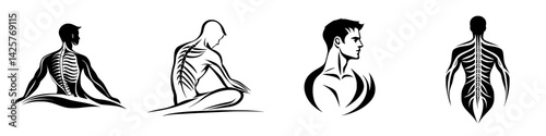 Artistic representation of human anatomy focusing on skeletal and muscular structures in black icons
