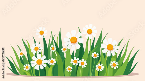 Daisies in grass vector background illustration spring summer floral meadow field garden nature design 100