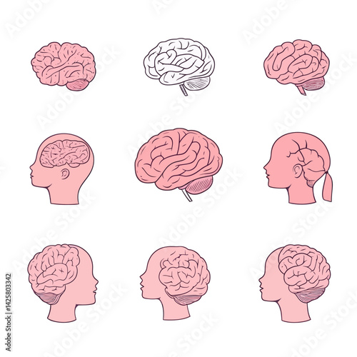 human brain vector illustration