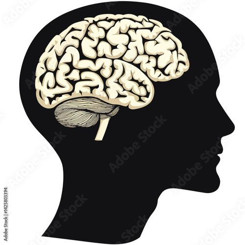 Isolated on white, an icon shows the brain inside of a human head
