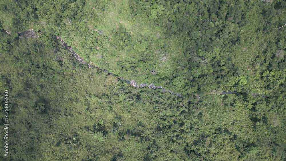 Descending spiral movement with a top-down view of a river making its way trough the rainforest. Descending spiral movement with a top-down view of a river making its way trough the rainforest.