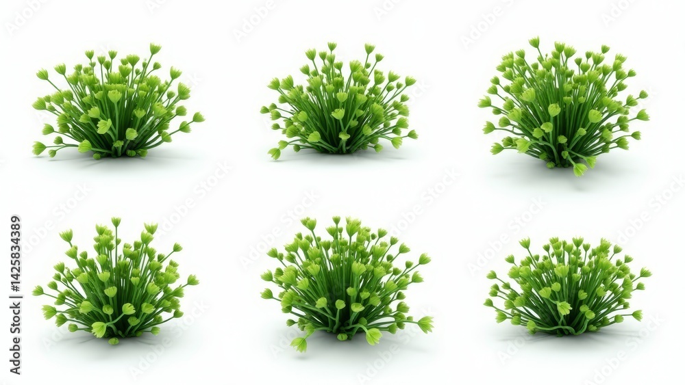 Fototapeta premium Artificial Green Plant Cluster Isolated On White