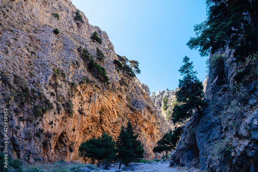 Majestic canyon landscape with towering cliffs and lush greenery