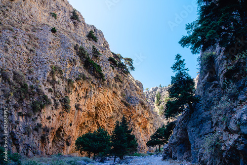Majestic canyon landscape with towering cliffs and lush greenery