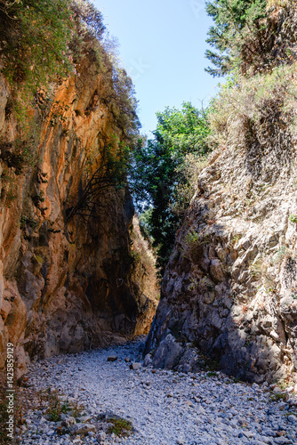 Majestic canyon landscape with towering cliffs and lush greenery