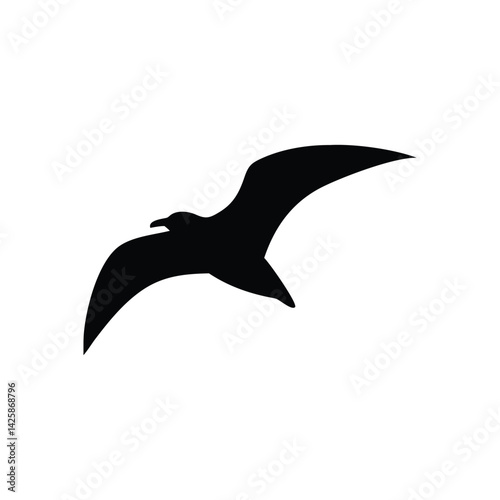 black headed gull