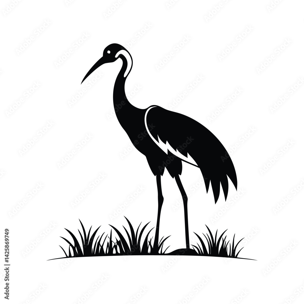 Obraz premium stork on the grass