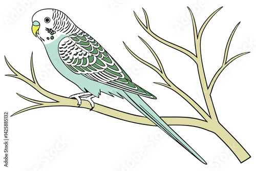 Beautifully Illustrated Budgerigar Bird Perched on a Branch, Exotic Pet Vector Art.