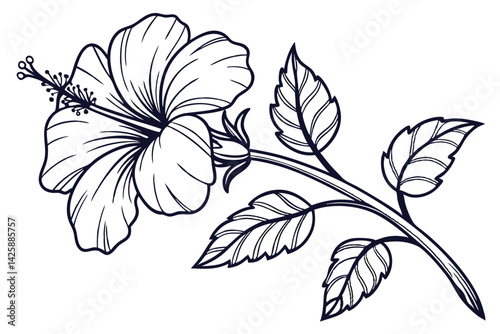 Vector illustration of hibiscus flower and leaves in line art, floral design.