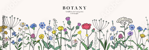 Hand drawn black silhouettes of wild flowers and herbs. Brush sketch or ink stroke, botanical drawing art. Vector illustration of field plants isolated on white background.