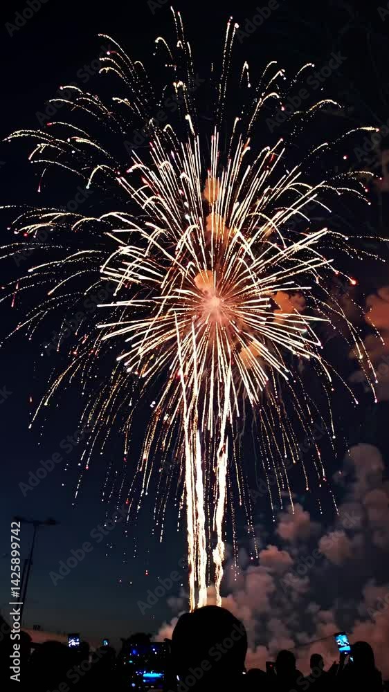 Vibrant fireworks burst in the night sky, captured from a low-angle, with silhouetted spectators filming the spectacle on video.