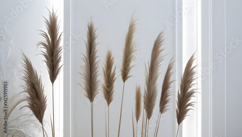 Obraz na płótnie Delicately textured, feathery plumes of ornamental grasses, varying in height and shape, stand upright against a crisp, stark white background, evoking a sense of serenity and elegance, accompanied w salonie