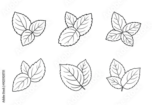 Mint Leaf simple line icons set. Leaf icon vector