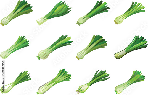 Vector big set illustration of leek