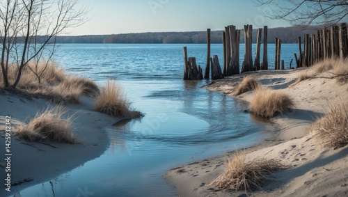 Where rivers meet, a soothing melody emerges as freshwater streams seamlessly join the expansive sea, a timeless display of nature's harmony