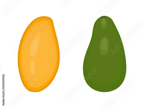 Set of yellow mango and green avocado isolated on white and transparent background. Vector illustration. Tropical fruits. Close-up element for food design decoration.
