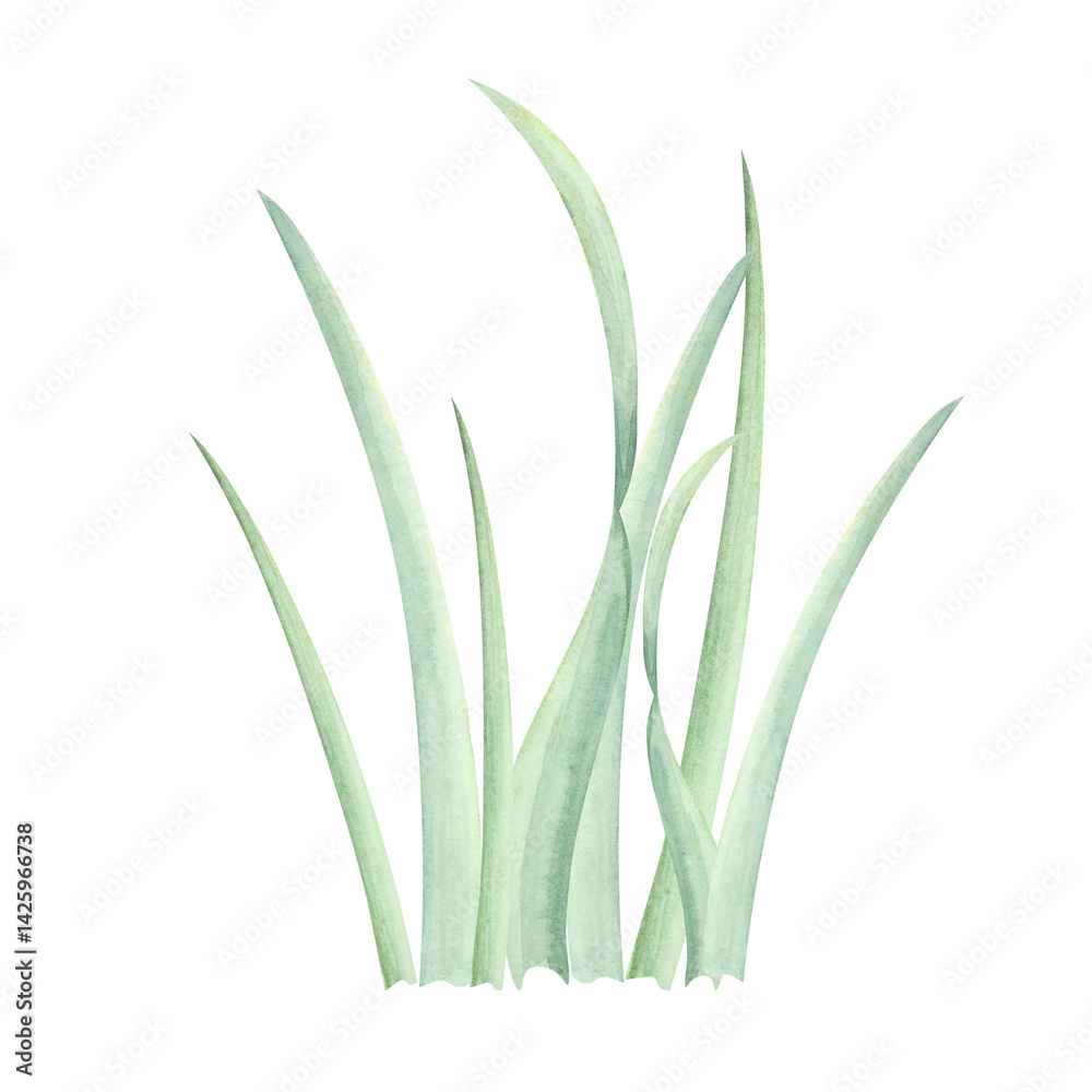 Obraz premium Lush green grass watercolor illustration with soft, natural shades. Hand drawn clipart Great for landscape designs, garden illustrations, childrens book art, and outdoor-themed graphic design