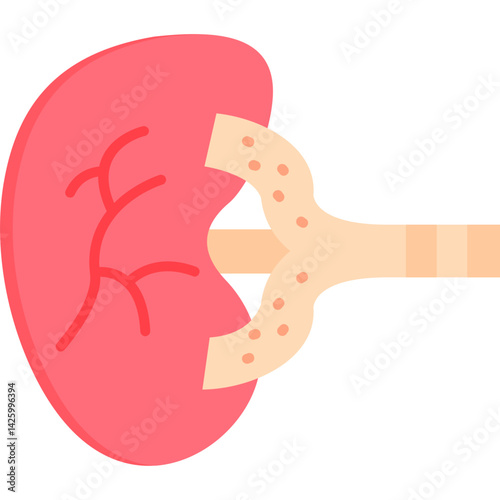 Kidney Icon