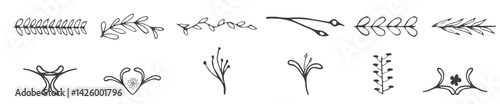 Hand Drawn Banners, Leaves, Flowers, Branches and Swirls