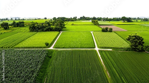 An aerial view showcases a vibrant patchwork of diverse green agricultural fields and farmlands under a bright clear sky exhibiting various crops in a picturesque rural landscape.