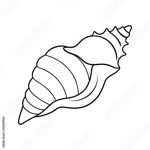 Sea conch Conch Shell vector line art