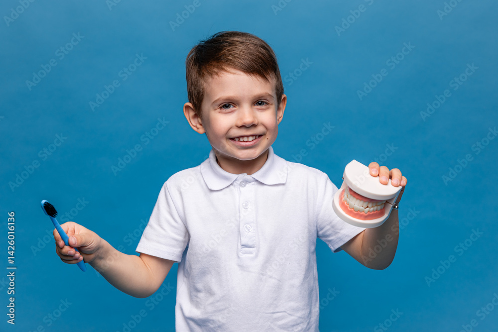 Little boy holding tooth jaw, toothbrush on blue background. Kid training oral hygiene. Child learning brushing, cleaning teeth. Prevention of caries in children. children dentistry. dental care kids