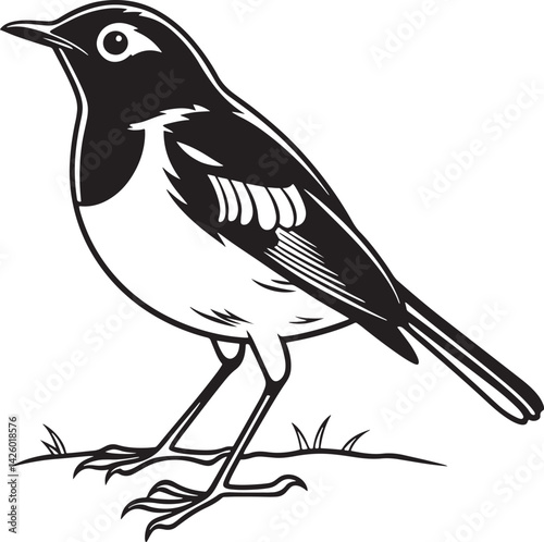 European Robin bird silhouette vector illustration