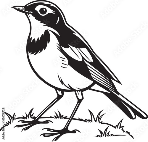 European Robin bird silhouette vector illustration