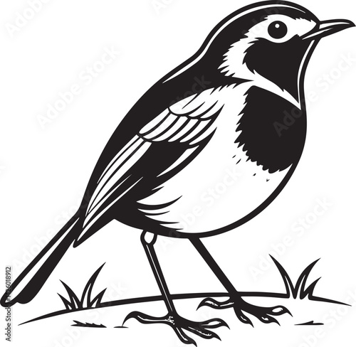 European Robin bird silhouette vector illustration