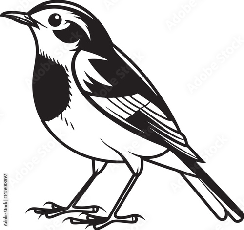 European Robin bird silhouette vector illustration