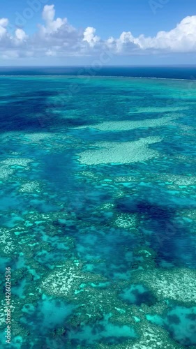 Drone video flying over the Great Barrier Reef in Australia. Turquoise waters, coral patterns, and smooth aerial motion showcase the beauty of this marine paradise from above.