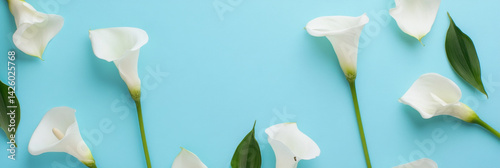 Beautiful white flowers arranged sky blue background create serene and elegant atmosphere, perfect for various occasions. delicate petals and vibrant green leaves enhance overall aesthetic appeal