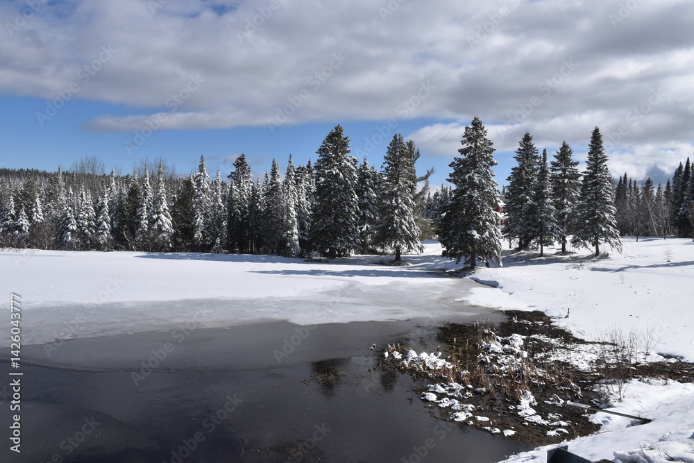 Obraz premium The small lake in spring, Québec, Canada