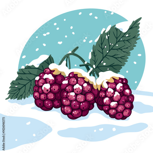 Snow-covered raspberries with green leaves on snowy background