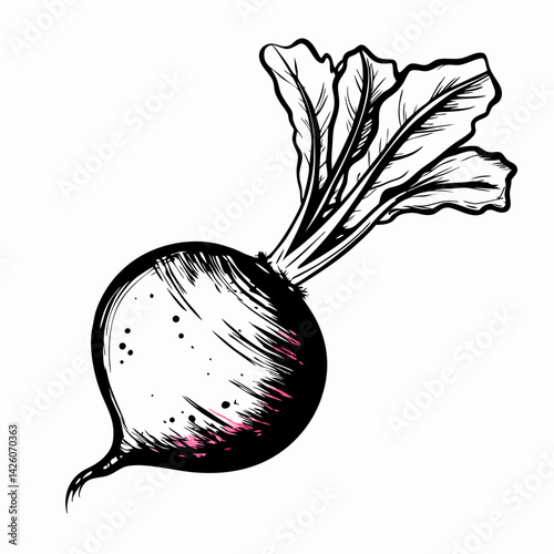 Illustration of a Radish with Vibrant Leaves Representing Freshness and Organic Farming in a Simple Black and White Style
