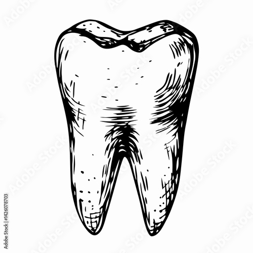 Hand-drawn illustration of a tooth showcasing a natural texture and shape, symbolizing dental health and hygiene.