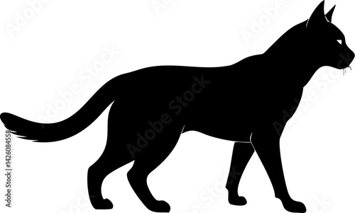 A black vector illustration shows an isolated horse silhouette, an animal icon.
