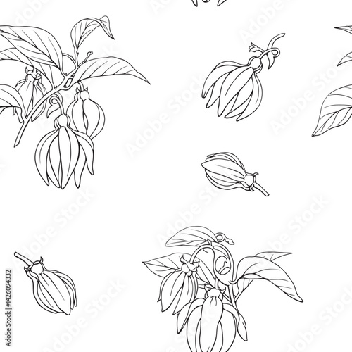 Ylang Ylang flowers and twigs, floral seamless pattern. Hand drawn linear graphics elements. Black white vector botanical illustration for design cosmetic, perfumery,package, branding. Medicinal plant