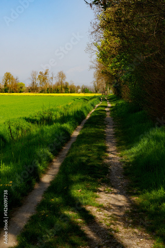 Obraz na płótnie Marne, historic village near Brembate, Bergamo province, Italy w salonie